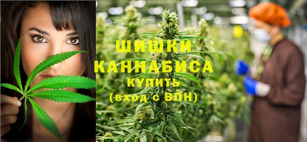 тгк Горняк