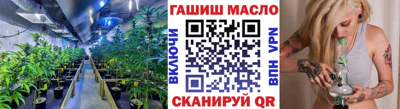 Купить закладки  Ковдор  Дистиллят ТГК гашишное масло 