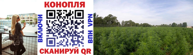 Купить где  Ковдор  Конопля LSD WEED 